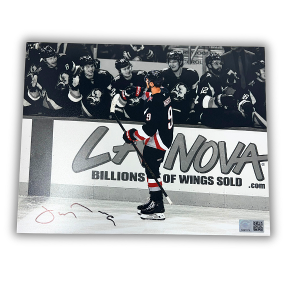Josh Norris Signed Celebrating with Bench in Goathead Jersey Spotlight Photo