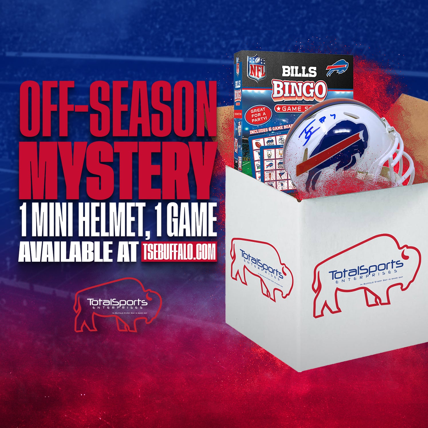 TSE Mystery Boxes — TSE Buffalo