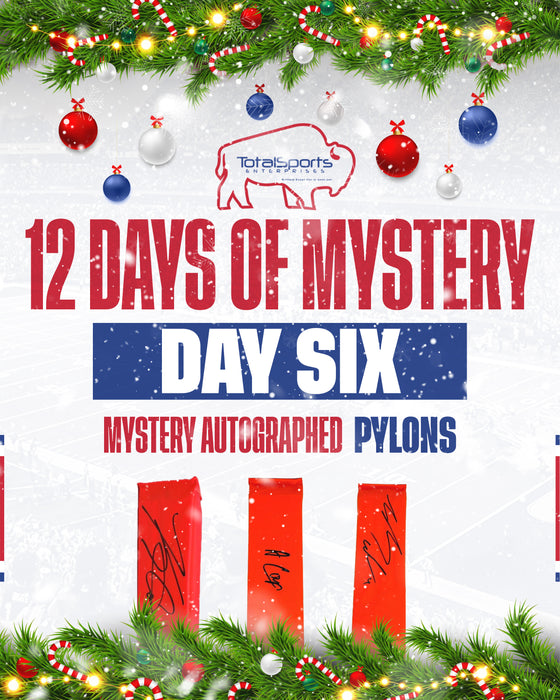 TSE 12 Days of Mystery (Day 6): Mystery Autographed Pylons