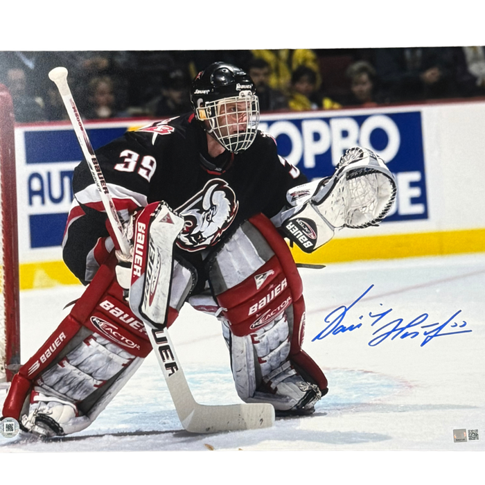 Dominik Hasek Signed in Net Wearing Goathead Uniform 16x20 Photo